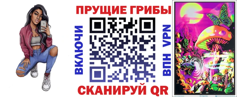 Купить где  Лесной  Галлюциногенные грибы MAGIC MUSHROOMS 
